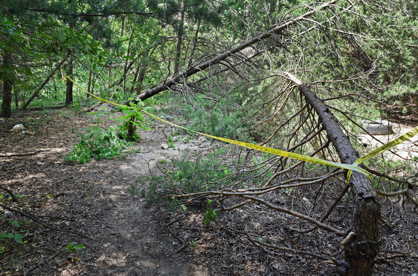 Eneas Rojas body found